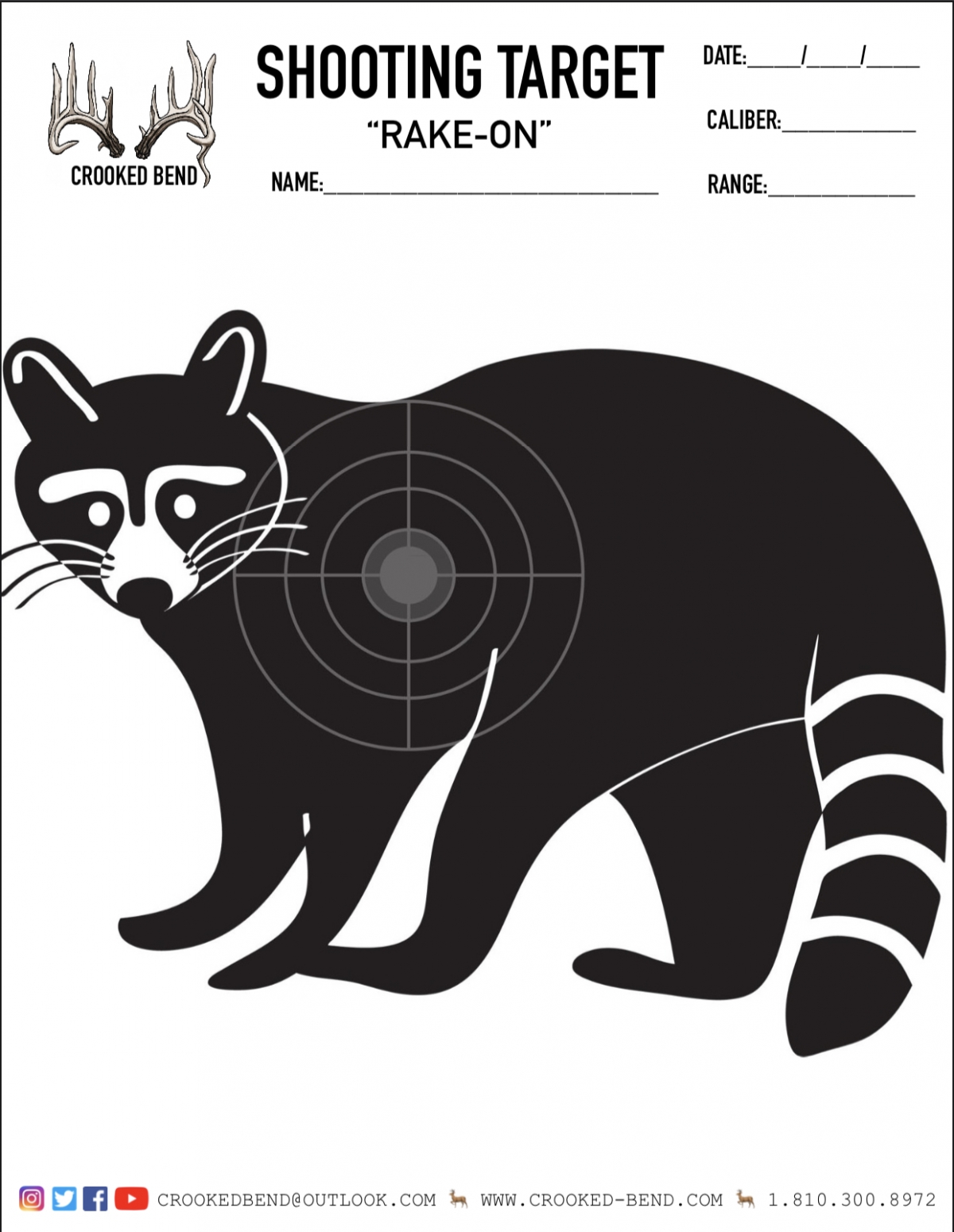 Target Raccoon