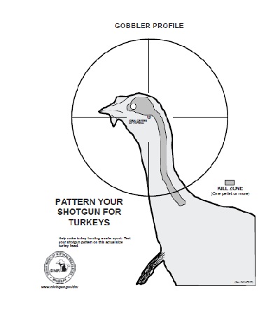 Target Turkey15x20
